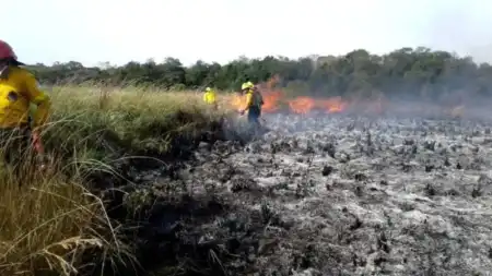 Misiones declaró la Emergencia Ígnea hasta diciembre de este año Misiones
