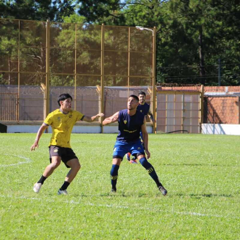 Mitre