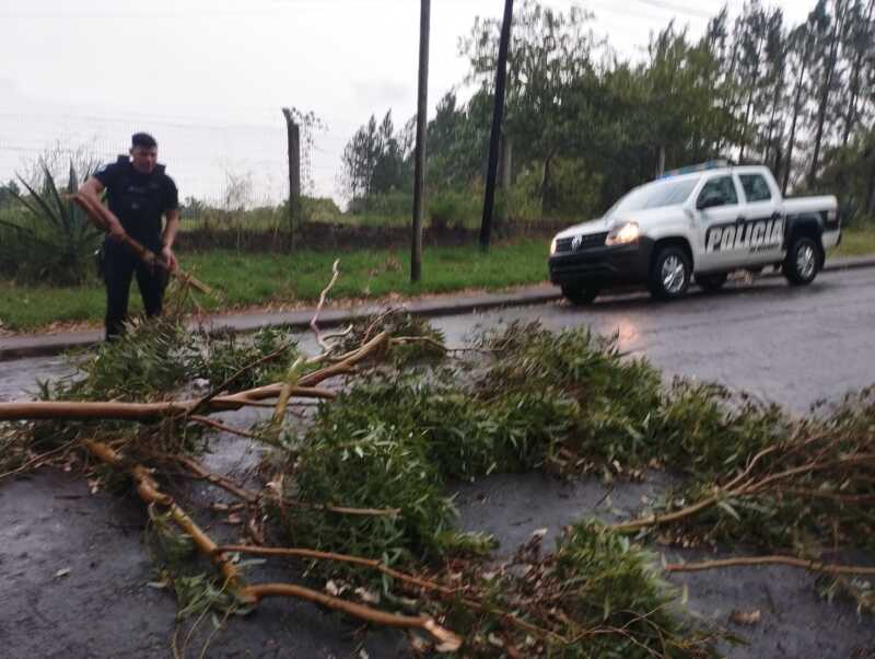 Temporal en Posadas: caída de árboles, techos y cables eléctricos 1 Posadas