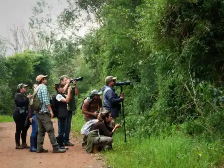 Posadas se convierte en el epicentro del mayor encuentro de observadores de aves Posadas