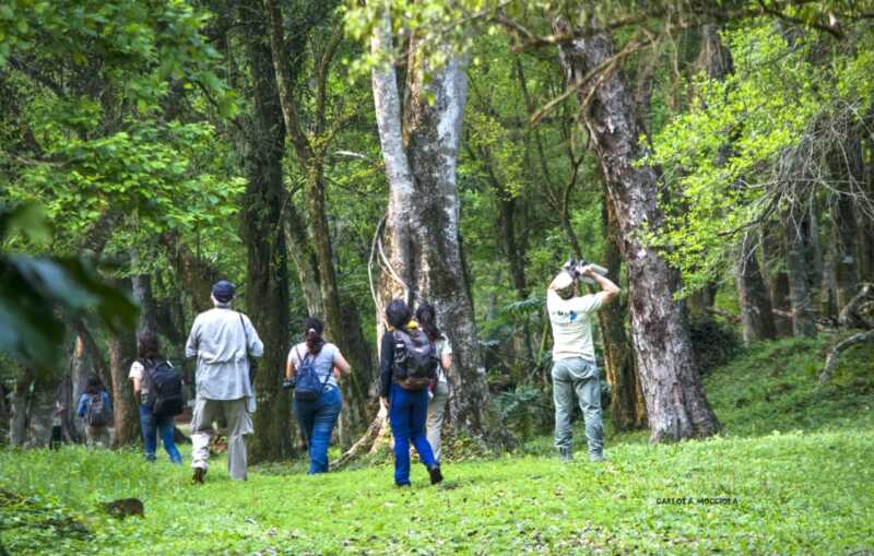 Posadas se convierte en el epicentro del mayor encuentro de observadores de aves 4 Posadas