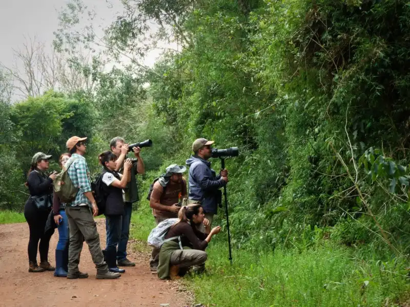 Posadas se convierte en el epicentro del mayor encuentro de observadores de aves Posadas