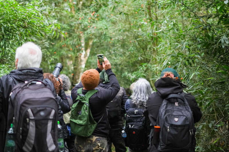 Posadas se convierte en el epicentro del mayor encuentro de observadores de aves 3 Posadas