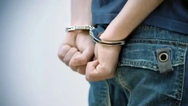 El oficialismo busca aprobar en el Senado el nuevo Régimen Penal Juvenil con cambios en penas y financiamiento 2 Senado