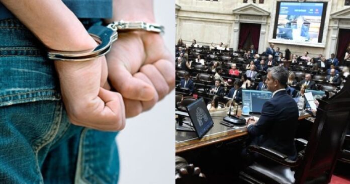 El oficialismo busca aprobar en el Senado el nuevo Régimen Penal Juvenil con cambios en penas y financiamiento Senado