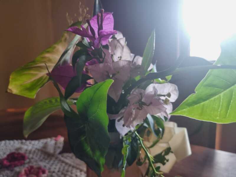 WhatsApp Image 2026 02 01 at 16.39.18 - 5