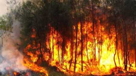incendios forestales