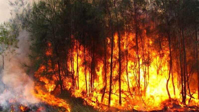 Incendios Fortestales: Ecología capacitó al personal de la Biofábrica en prevención y respuesta rápida incendios forestales