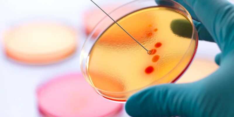 Orgullo argentino: Un científico del CONICET presidirá la Sociedad Americana de Microbiología 5 WhatsApp Image 2026 02 16 at 09.39.12 2 - 4