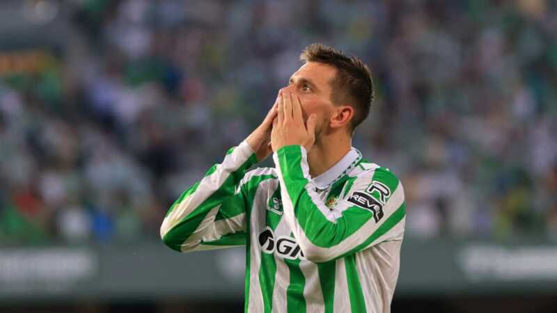 WhatsApp Image 2026 02 16 at 11.15.01 2 - 3