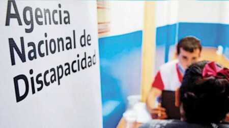 La Cámara revocó la restitución masiva de pensiones por discapacidad suspendidas por ANDIS pensiones por discapacidad