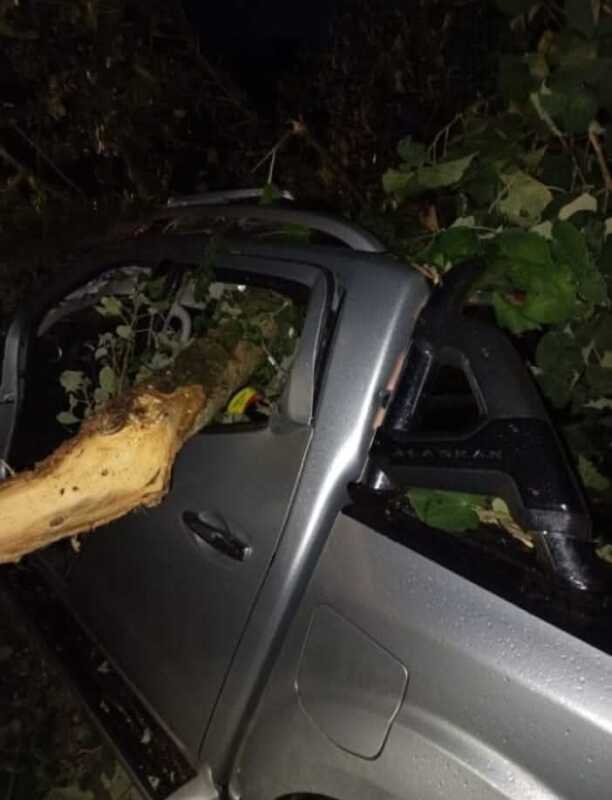 Temporal en Misiones: un árbol caído generó un choque múltiple en Santiago de Liniers 5 WhatsApp Image 2026 02 20 at 08.05.37 1 - 4
