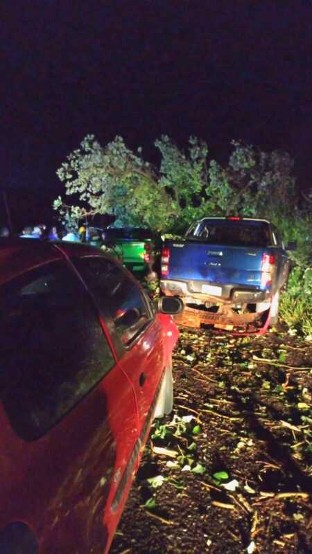 Temporal en Misiones: un árbol caído generó un choque múltiple en Santiago de Liniers 7 WhatsApp Image 2026 02 20 at 08.05.37 2 - 6
