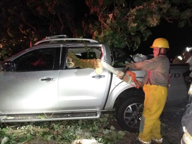 Temporal en Misiones: un árbol caído generó un choque múltiple en Santiago de Liniers 3 WhatsApp Image 2026 02 20 at 08.05.37 3 - 2