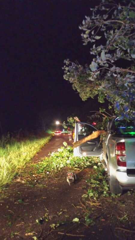 Temporal en Misiones: un árbol caído generó un choque múltiple en Santiago de Liniers 9 WhatsApp Image 2026 02 20 at 08.05.37 4 - 8