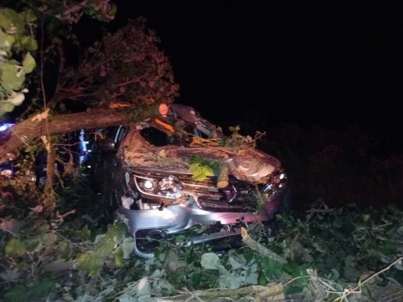 Temporal en Misiones: un árbol caído generó un choque múltiple en Santiago de Liniers choque múltiple tras el temporal