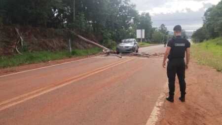 San Antonio: un árbol cayó sobre un auto en la Ruta Nacional 101 y el conductor fue hospitalizado El árbol de eucaliptus cayó sobre el vehículo cuando circulaba por el kilómetro 33 de la Ruta Nacional 101.