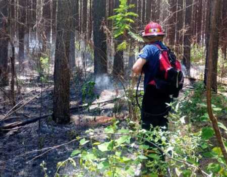 bomberos controlaron un incendio que afectó un pinar en Corpus Christi bomberos