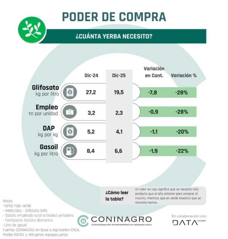 La yerba mate entra en zona crítica: producir hoy cuesta el doble que hace cinco años 1 El aumento de costos y la falta de precios de referencia profundizan la crisis yerbatera que afecta a más de 12 mil familias misioneras.
