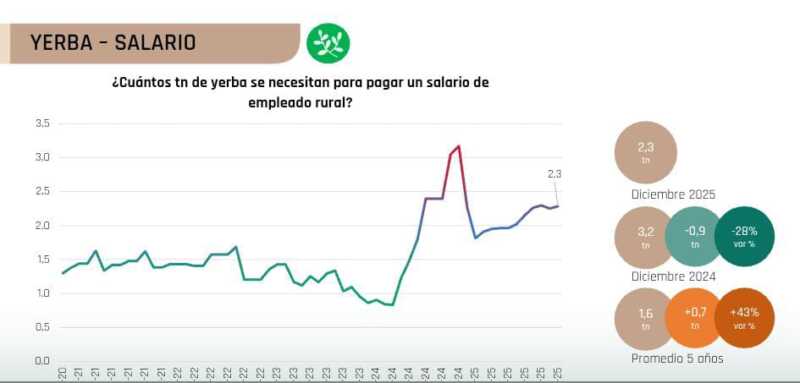La yerba mate entra en zona crítica: producir hoy cuesta el doble que hace cinco años 6 coninagro 2 - 5