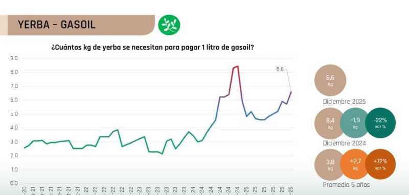 La yerba mate entra en zona crítica: producir hoy cuesta el doble que hace cinco años 8 coninagro 3 - 7