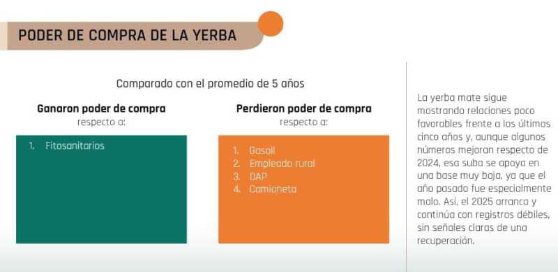 La yerba mate entra en zona crítica: producir hoy cuesta el doble que hace cinco años 3 coninagro 5 - 2