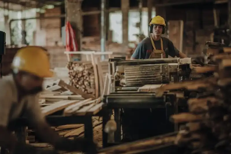 industria maderera en crisis