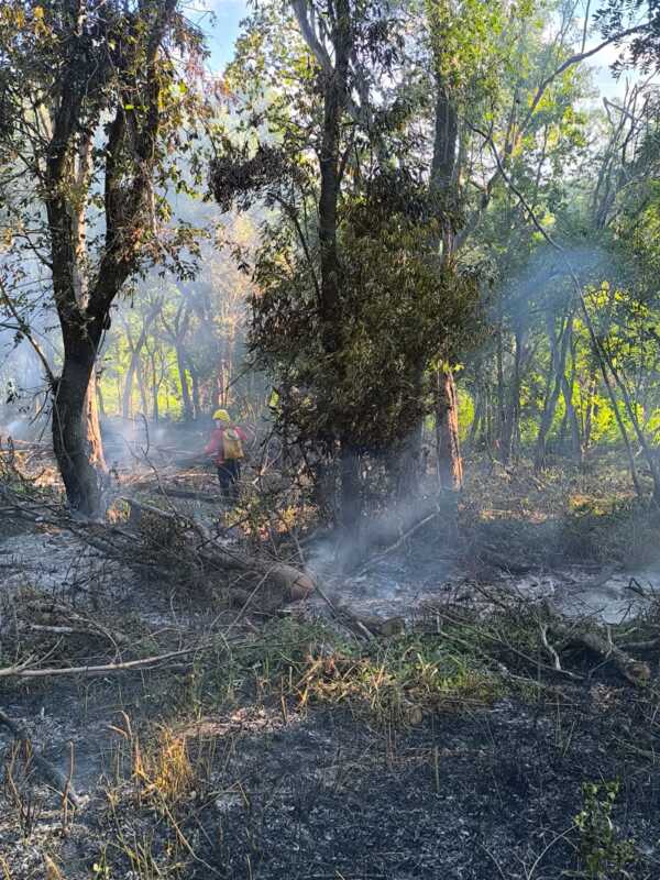 Lunes caluroso y con alto riesgo de incendios en Misiones 5 incendios posadas 14 - 4
