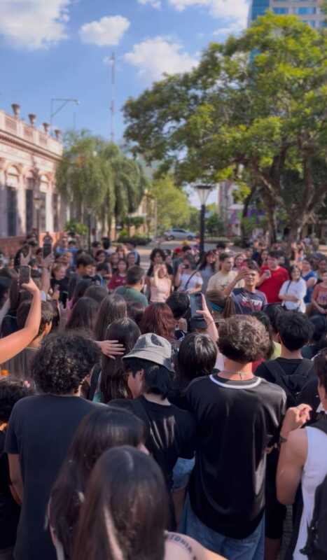 Entre la curiosidad y el querer pertenecer, jóvenes participaron de la primera juntada therian en Posadas 3 juntada therian posadas