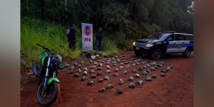 Candelaria: secuestran más de 71 kilos de marihuana tras persecución policial 2 marihuana