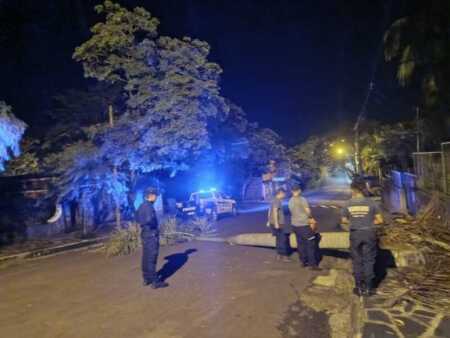 Temporal en Misiones: la Policía desplegó operativos de asistencia y prevención en varias localidades afectadas La rápida intervención permitió asistir a las familias afectadas y restablecer la circulación en zonas comprometidas por la caída de árboles.