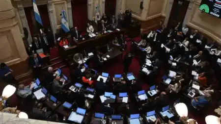 senado