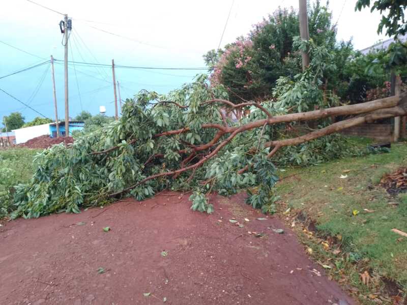 Intenso operativo en Oberá tras tormenta: calles despejadas y asistencia a familias afectadas 3 Vecinos de Oberá vivieron horas de tensión tras intensas lluvias y ráfagas de viento, en un operativo coordinado para despejar calles y garantizar seguridad.