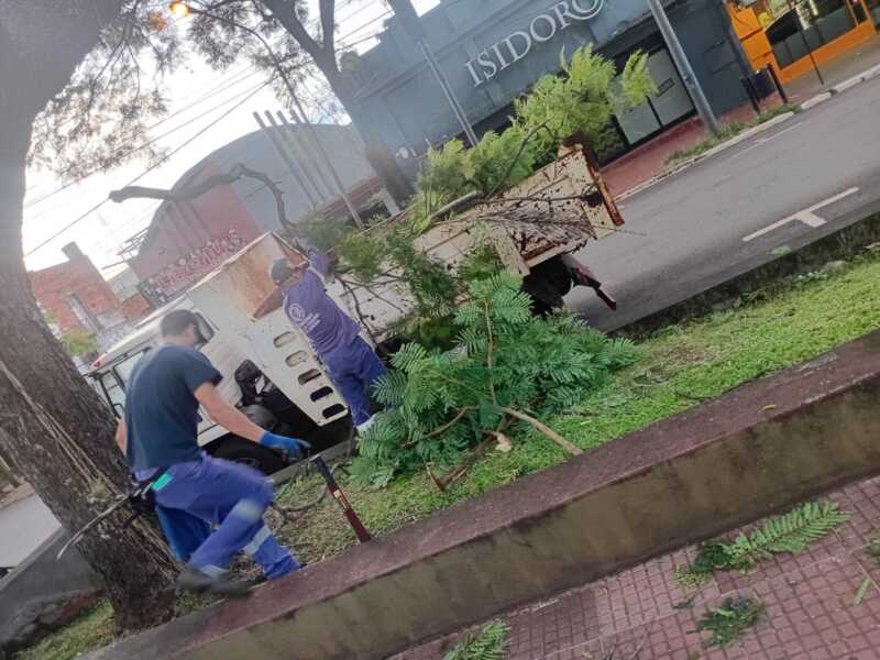 Intenso operativo en Oberá tras tormenta: calles despejadas y asistencia a familias afectadas 4 Fueron 20 las viviendas con techos dañados y varios barrios con calles obstruidas por árboles y ramas, tras la tormenta que azotó la ciudad.