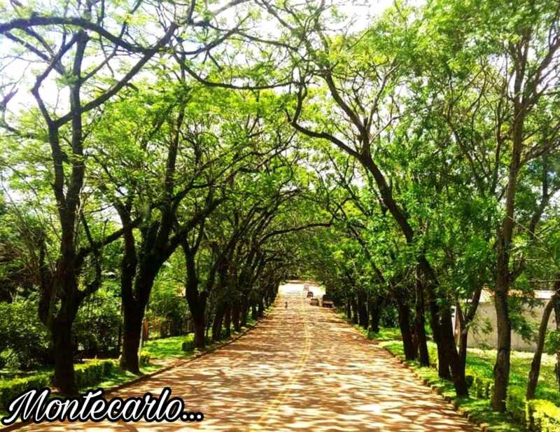 Montecarlo atraviesa un escenario económico complejo y de ajustes 7 43736146 1935650929861299 2926657652559708160 n - 6