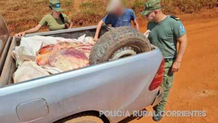 Corrientes: incautan 800 kilos de carne clandestina en un control rural 654703194 1627522662709591 6935247592382884623 n - 2