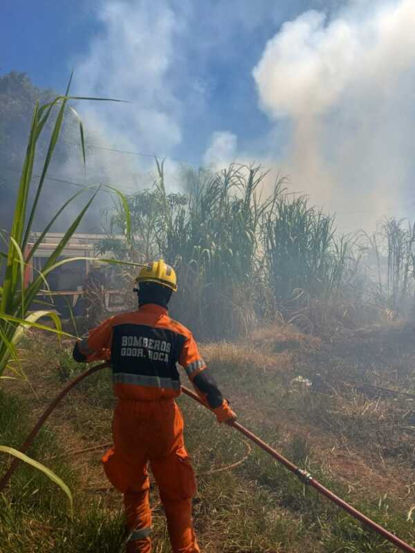 Bomberos controlaron varios focos ígneos durante la jornada del sábado en Misiones 3 Bomberos