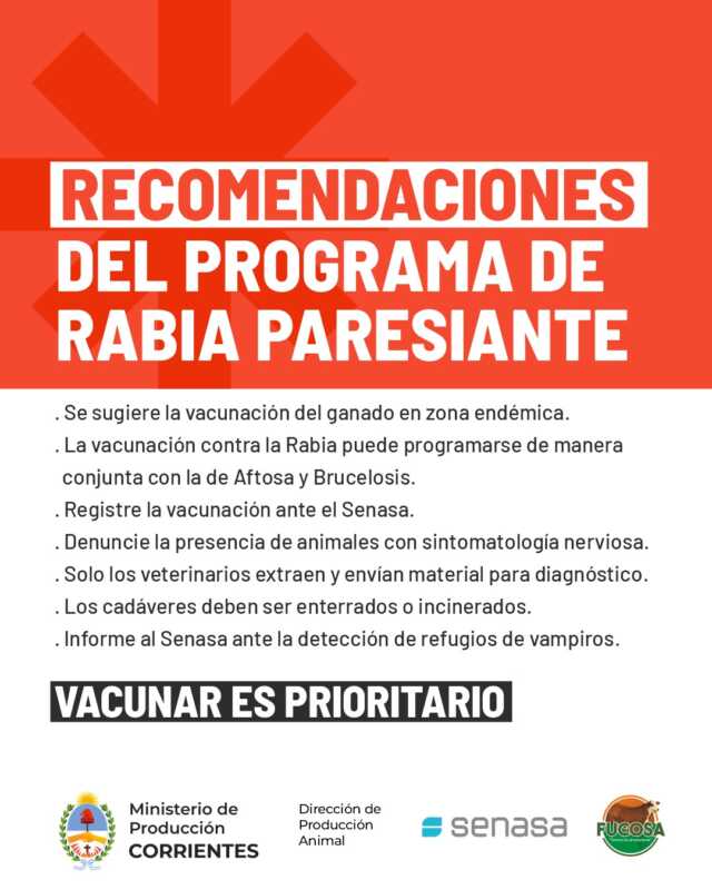 Corrientes: recomiendan vacunar el ganado tras detectarse rabia paresiante en el norte provincial 3 Corrientes