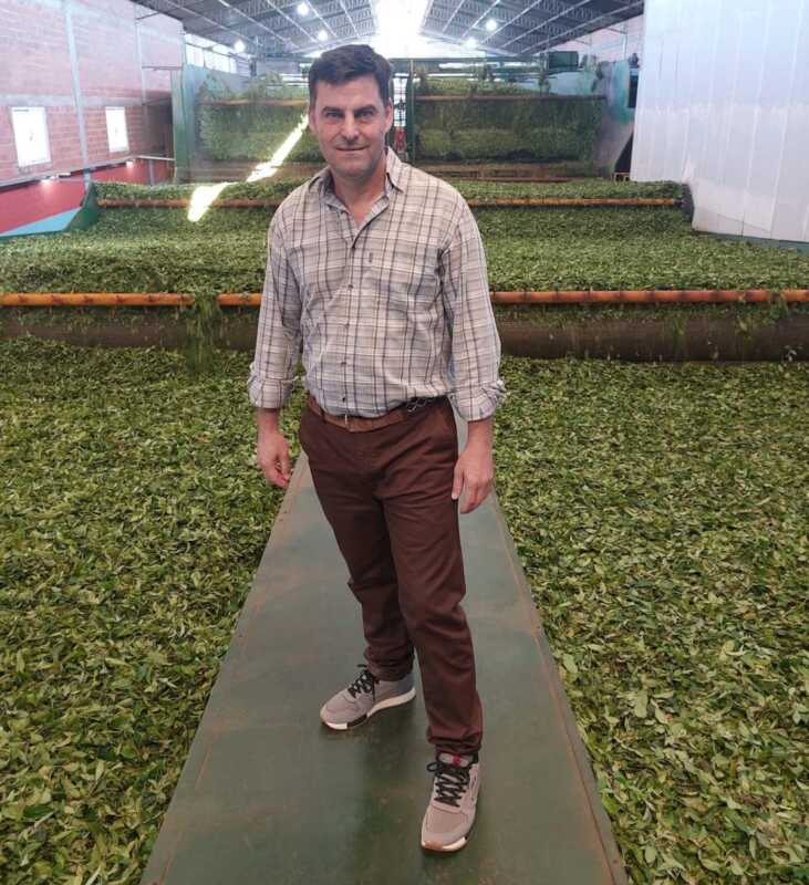 Exportación de yerba mate: cooperativa misionera abre mercado en China 2 Cooperativismo en acción: productores misioneros impulsan la llegada de la yerba mate al mercado asiático.