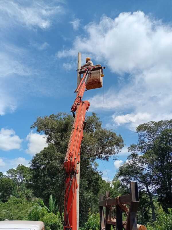 Refuerzan el mantenimiento en líneas rurales de El Soberbio 2 Energía de Misiones intensifica el mantenimiento y la remodelación de más de 15 kilómetros de líneas rurales en El Soberbio, con recambio de postes y mejoras tras las tormentas.