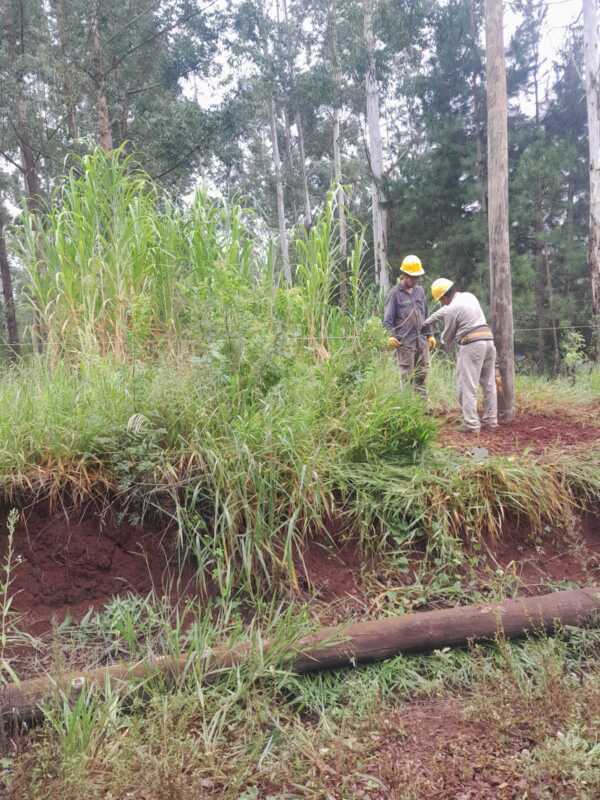 Refuerzan el mantenimiento en líneas rurales de El Soberbio 4 Energía de Misiones intensifica el mantenimiento y la remodelación de más de 15 kilómetros de líneas rurales en El Soberbio, con recambio de postes y mejoras tras las tormentas.