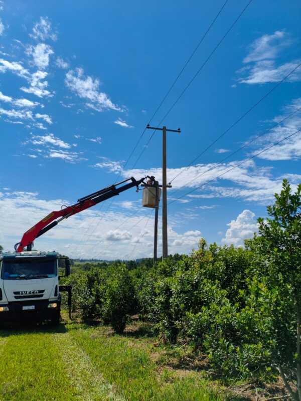 Mantenimiento en San Isidro: cómo funcionará el sistema eléctrico de Misiones este domingo El soberbio 8 - 2