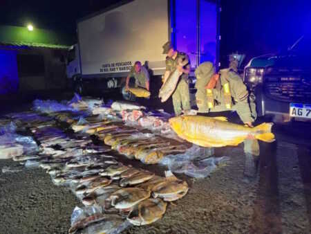 Incautan 720 kilos de pescado ilegal en Ituzaingó Ituzaingó