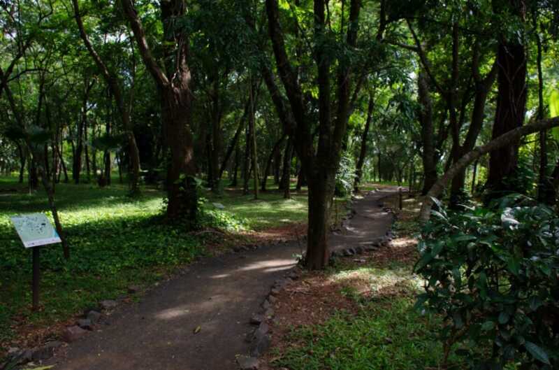 Jardín Botánico: un pulmón verde que educa, preserva y conecta a la comunidad 3 Jardín