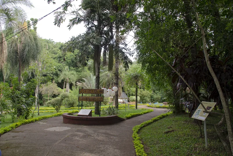 Jardín Botánico: un pulmón verde que educa, preserva y conecta a la comunidad 2 Jardín