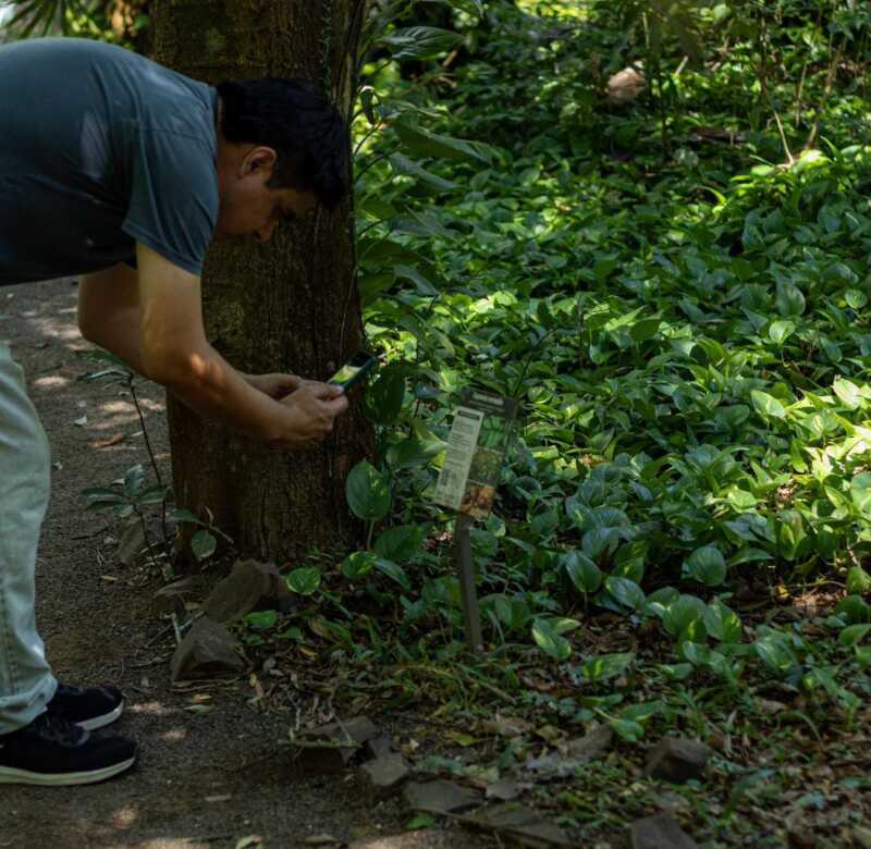 Jardín Botánico: un pulmón verde que educa, preserva y conecta a la comunidad Jardín