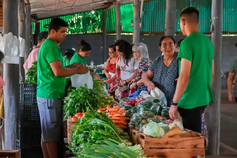 Impulsan en Misiones un sistema de compras públicas para garantizar alimentos saludables en comedores 1 Misiones