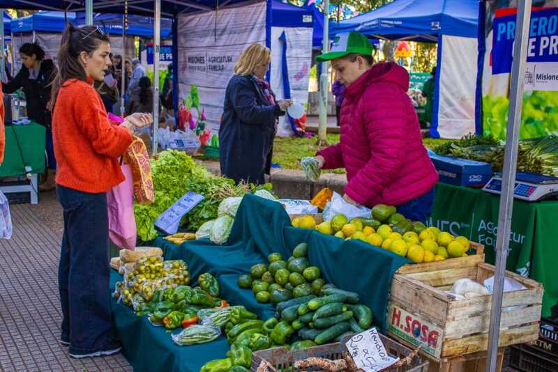 Impulsan en Misiones un sistema de compras públicas para garantizar alimentos saludables en comedores 2 Misiones
