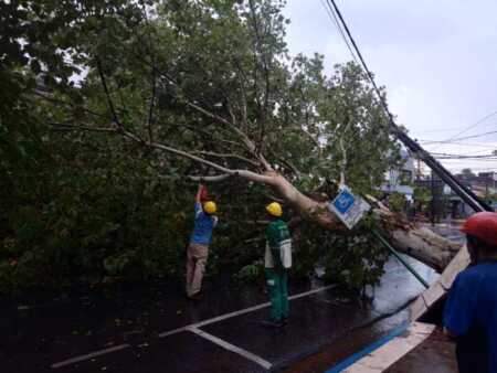 La tormenta provocó severos daños en distintos sectores de Posadas Posadas