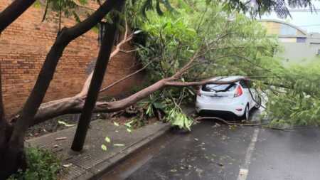 Temporal en Posadas: “El centro de la ciudad fue el más afectado” Posadas